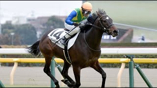 3歳新馬　芝1800m (左 D)　スーパーバイザー　牡3　57.0　吉田豊　2024.2.4　　出走馬：キングブルー、パンドジェーヌ、キャルベイクルーズ、ハートライト、ベトルス、クロシェットノエル他