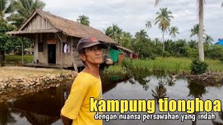 Kampung Tionghoa dengan nuansa alam persawahan