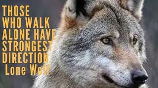 Those who walk alone have strongest direction | lone wolf | Daily motivation For self belief