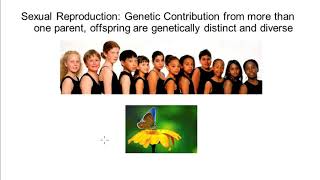 BIO204 Meiosis and Genetic Diversity