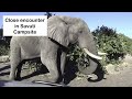 Botswana Overland Trip - Episode 3 - Savuti