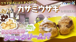 【ウサギ好き必見】！ウサギの形のシュークリーム！？うさぎをイメージした焼き菓子とケーキがずらりと並ぶお菓子屋さん｜カザミウサギ｜カフェ・喫茶巡り【とちカツTV】