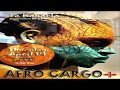 Afro Cargo+  - Willy Willy (waiting for godo)