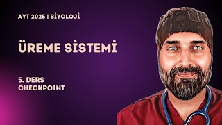 Üreme Sistemi | 5. Ders Checkpoint | 2025 - YKS