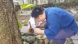 How to Wash at the Stone Basin in the Tea Ceremony Garden