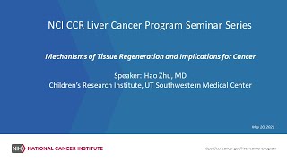 Mechanisms of Tissue Regeneration and Implications for Cancer