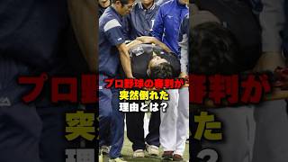 プロ野球の審判が突然倒れた理由とは？#野球 #野球雑学 #審判