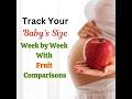 Fetal Development Week By Week - Baby Size Comparison With Fruits