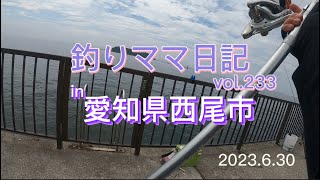 釣りママ日記vol.233愛知県西尾市