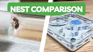 Test Tube Setup vs Founding Nest - Ant Keeping Guide | BRUMA Ants