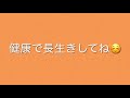 【トイプードル】愛犬が椎間板ヘルニアになったけど想像以上に大変だった。hernia