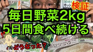 【検証】毎日野菜2kg【5日間続けてみた】