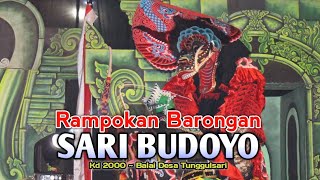 Rampokan Barongan Jaranan SARI BUDOYO Live Balai Desa Tunggulsari