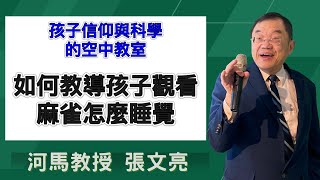 孩子信仰與科學的空中教室-如何教導孩子觀看麻雀怎麼睡覺(河馬教授-張文亮2024.10.17)