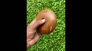 Pebble shaped teak wood test tube vase #Shorts #teak #testtubevase #flowerdecoration #fyp #artisan