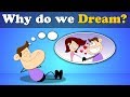Why do we Dream? + more videos | #aumsum #kids #science #education #children