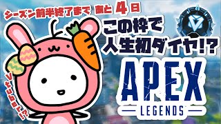 【APEX】この枠で、人生初のダイヤに行きます。【たここ/新人Vtuber】