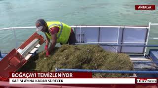 BÜYÜKŞEHİR BOĞAÇAYI'NI TEMİZLİYOR