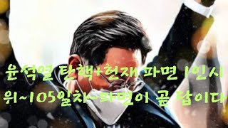 윤석열 탄핵+파면 촉구1인시위~105일차~부산 서면 젊음의거리~파면이 곧 나라가 살길이다🔥