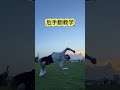 別人踢妳，怎麽破解 防身術 kungfu 中國功夫 shorts