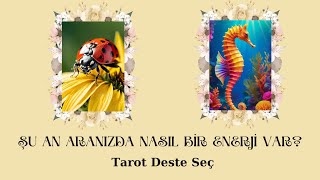 Aranızda neler oluyor?Tarot mesajları için deste seç