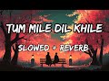 Tum Mile Dil Khile Lofi [ Slowed + Reverb ] Arijit Singh #bollywood #viral