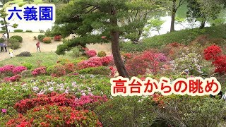 （4K）六義園のつつじ・高台からの眺め（2019年4月21日）