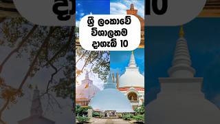 ශ්‍රී ලංකාවේ විශාලතම දාගැබ් 10 🙏☸️ #top10 #shorts