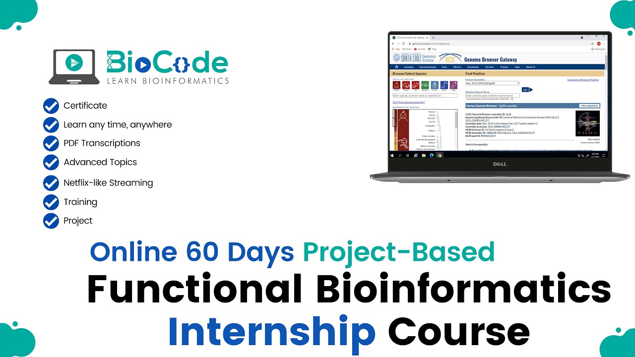 Functional Bioinformatics Internship Online Course Youtube