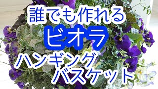 寄せ植え初めての方必見！可愛くできるビオラの【ハンギングバスケット】