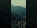 വയനാടൻ പാതയോരം wayanad churam @keralavibe wayanad travel trip hyperlapse