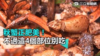 秋蟹正肥美！　不過這4個部位別吃｜三立新聞網SETN.com