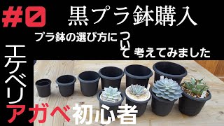 【多肉植物】多肉、成長点潰しで回復！? 黒ポットも揃えてます！