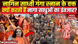 Mahakumbh 2025: Mahila Naga Sadhu कुंभ में स्नान के वक्त क्यों करती हैं नागा साधुओं का इतंजार?