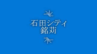 石田シティ銘苅101号室