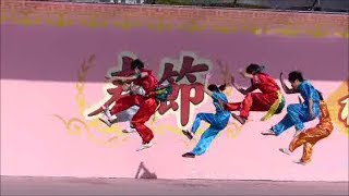 名古屋中国春節祭 2014 （愛知大学・中国武術部）中国武術 演武