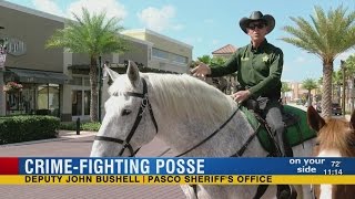 Pasco Sheriff's Office employs the most magestic of crime stoppers