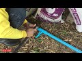 วิธีการติดตั้งระบบน้ำหยด ด้วยตัวเอง แบบง่ายๆ how to setup drip irrigation