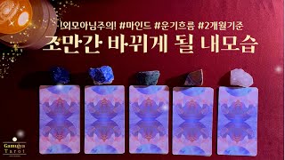 [타로] 조만간 바뀌게 될 내 모습