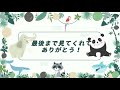 ママと遊ぶヒマリちゃん【‎2024年‎6月4日】【上野動物園】ミナミコアリクイ