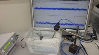 樹脂容器を利用した、メガヘルツの超音波システムーー表面弾性波の 線形振動現象をコントロールする技術ーー（超音波システム研究所）