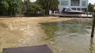 Water experts determine algae in Biscayne Bay is toxic