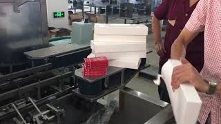 상자 자동 포장 기계, 자동 카토너 (Automatic Cartoning Machine)