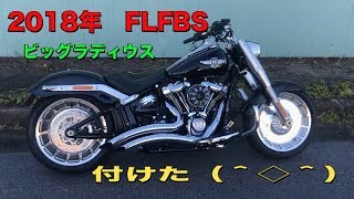 バンス\u0026ハインズ　ビッグラディウス　FLFBS