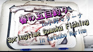 小坪マリーナからレンタルボートで春の五目釣り！