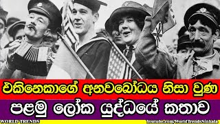 රටවල් අතර තිබූ අනවබෝධය නිසා සිදුවුණ පළමු ලෝක යුද්ධයේ කතාව | WW1 Sinhala Documentary