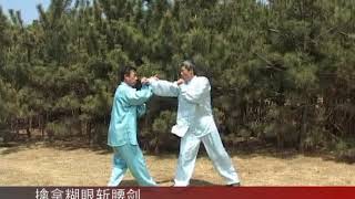 一拳一傳奇  螳螂拳 (崩補+梅花路+達摩劍+六合棍)