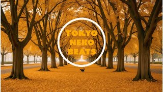 [Playlist] Autumn Vibes🍁Lofi for studying and relaxing