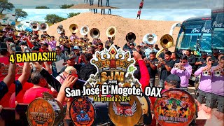 4 Bandas! Muerteada San Jose el Mogote 2024 | PCQ