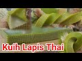 Kuih Lapis Thai | Kuih Lapis Pandan